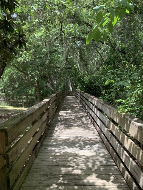 boardwalk