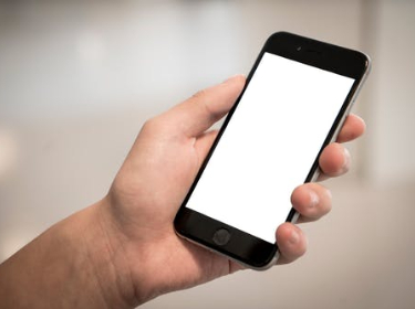  Hand holding a cell phone