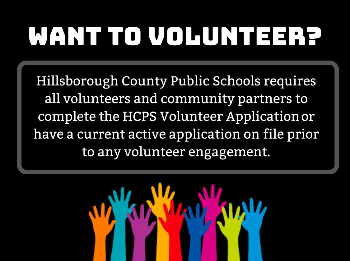  Volunteer Application