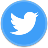 Twitter or X