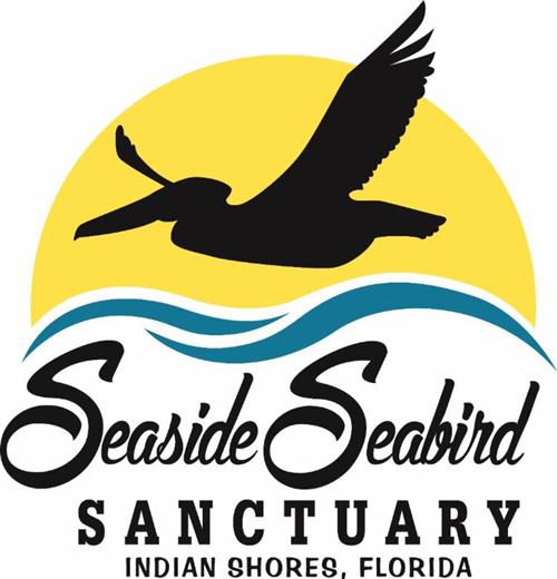 seabird