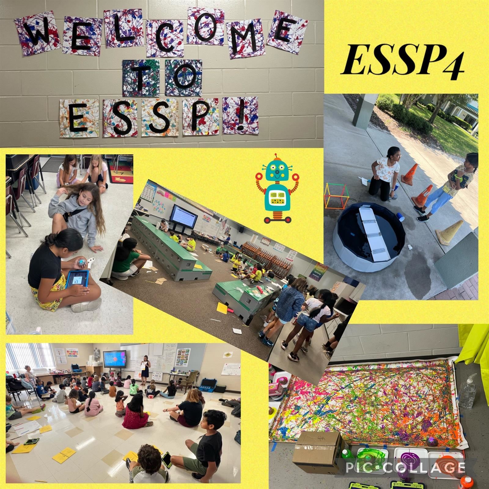 ESSP4 activities