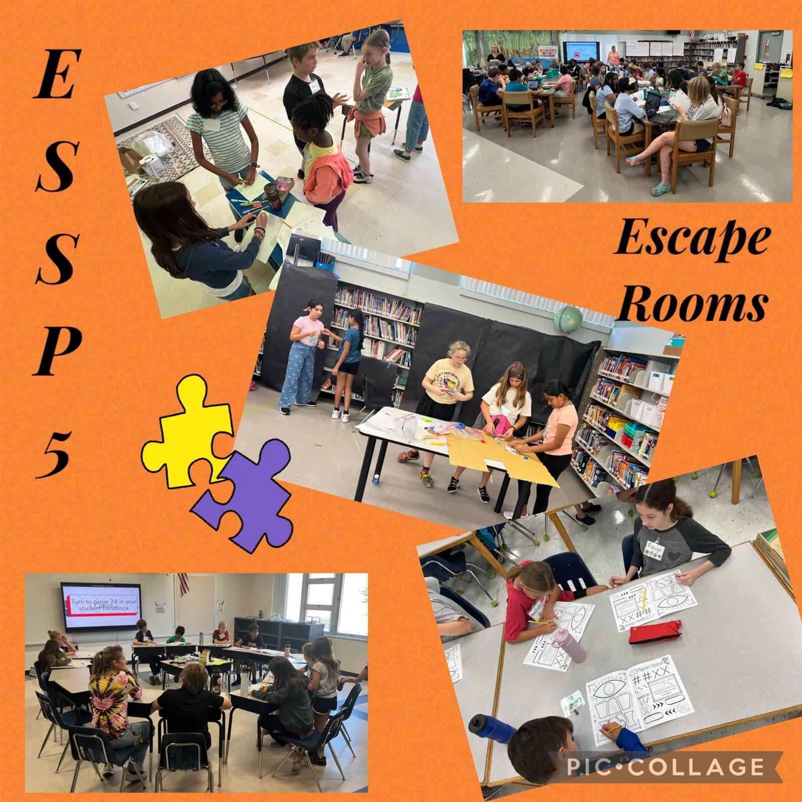 ESSP5 activities