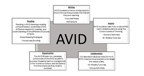 AVID2 