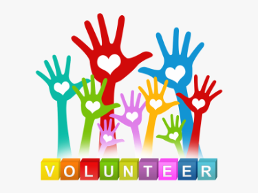  Volunteer Application