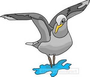 Picture of a Seagull