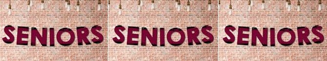 Seniors Image