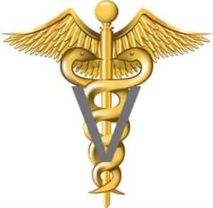 vet2