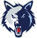 Newsome High School Logo